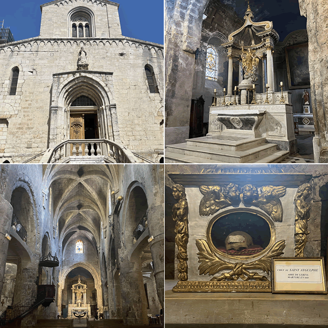 Grasse cattedrale Notre Dame du Puy