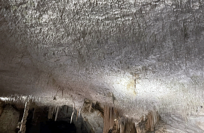 Grotte di Postumia Sala degli spaghetti