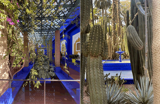 Cosa vedere a Marrakech: i Jardin Majorelle